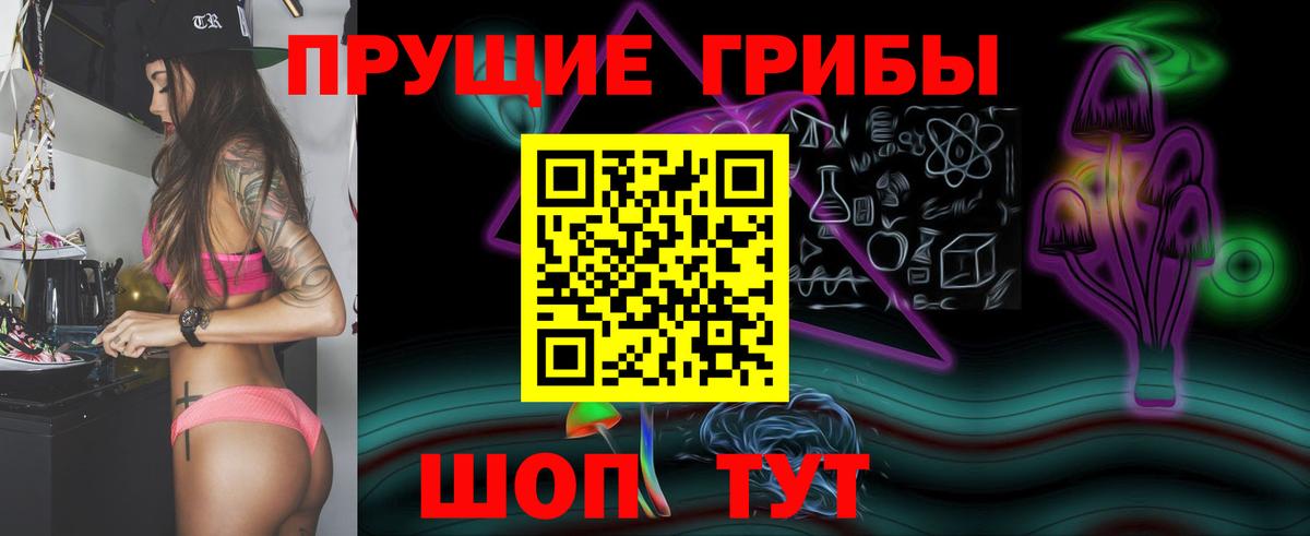 Псилоцибиновые грибы мицелий Кирово-Чепецк
